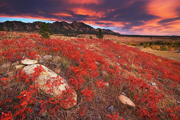 RMNP 2006 Fall Colors Contest Winner!