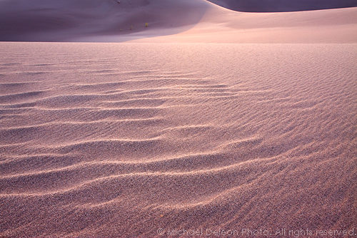 Sand Dreams