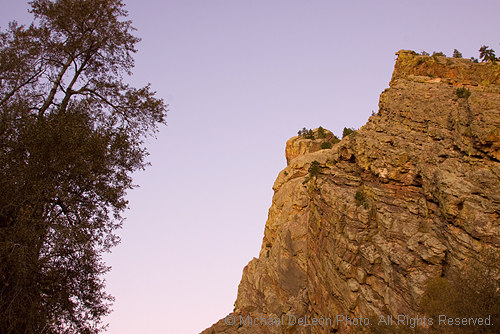 Muted in the Canyon