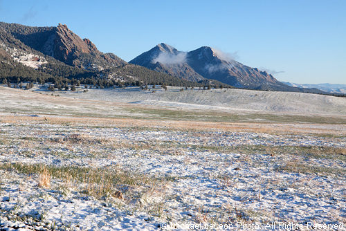 Snow Morning