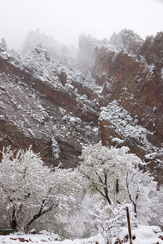 May Snowstorm