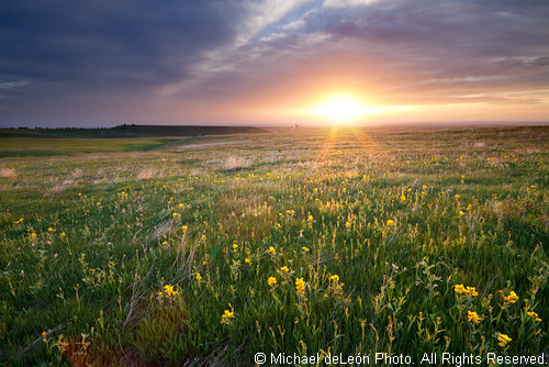 Early Morning Spring