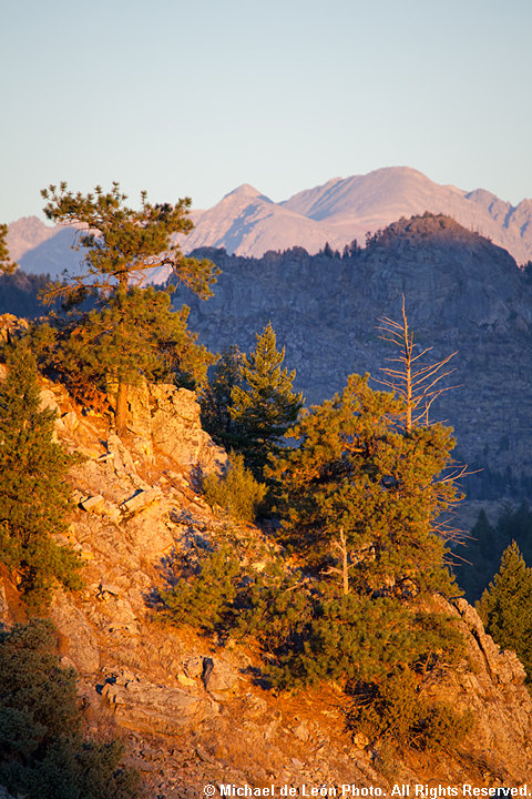 Rattlesnake Gulch