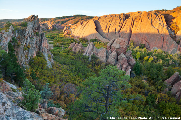 Early Morning Roxborough