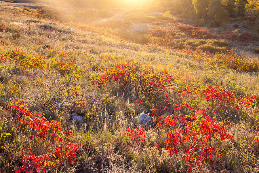 Fall Sunrise