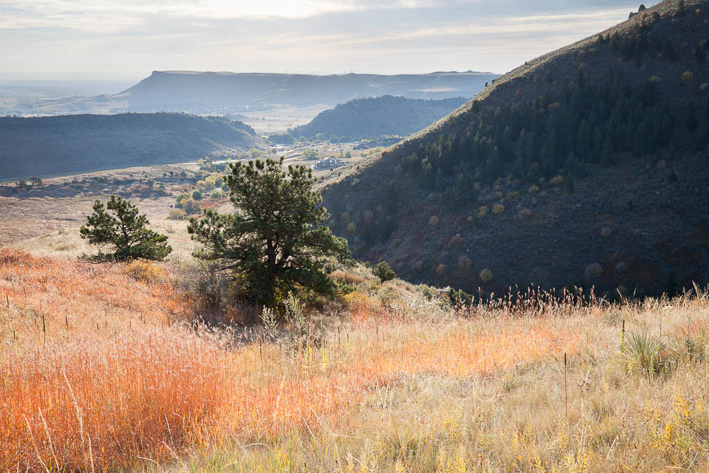 White Ranch Hike