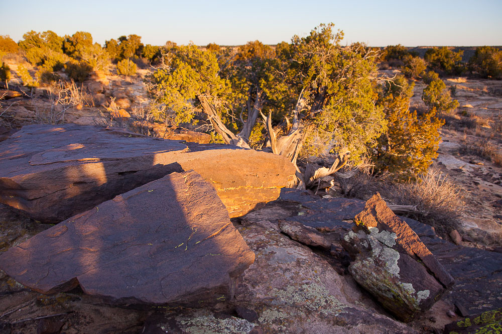 Comanche National Grasslands